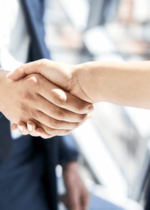 Team celebrating success in a meeting